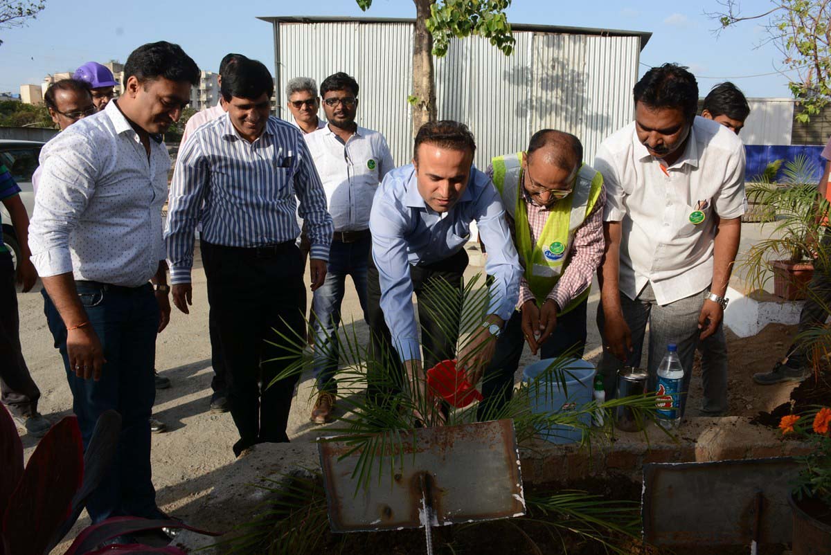 Tree Plantation Drive 1