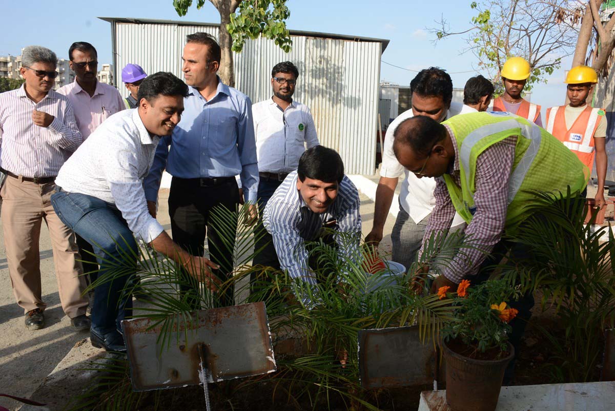 Tree Plantation Drive 10
