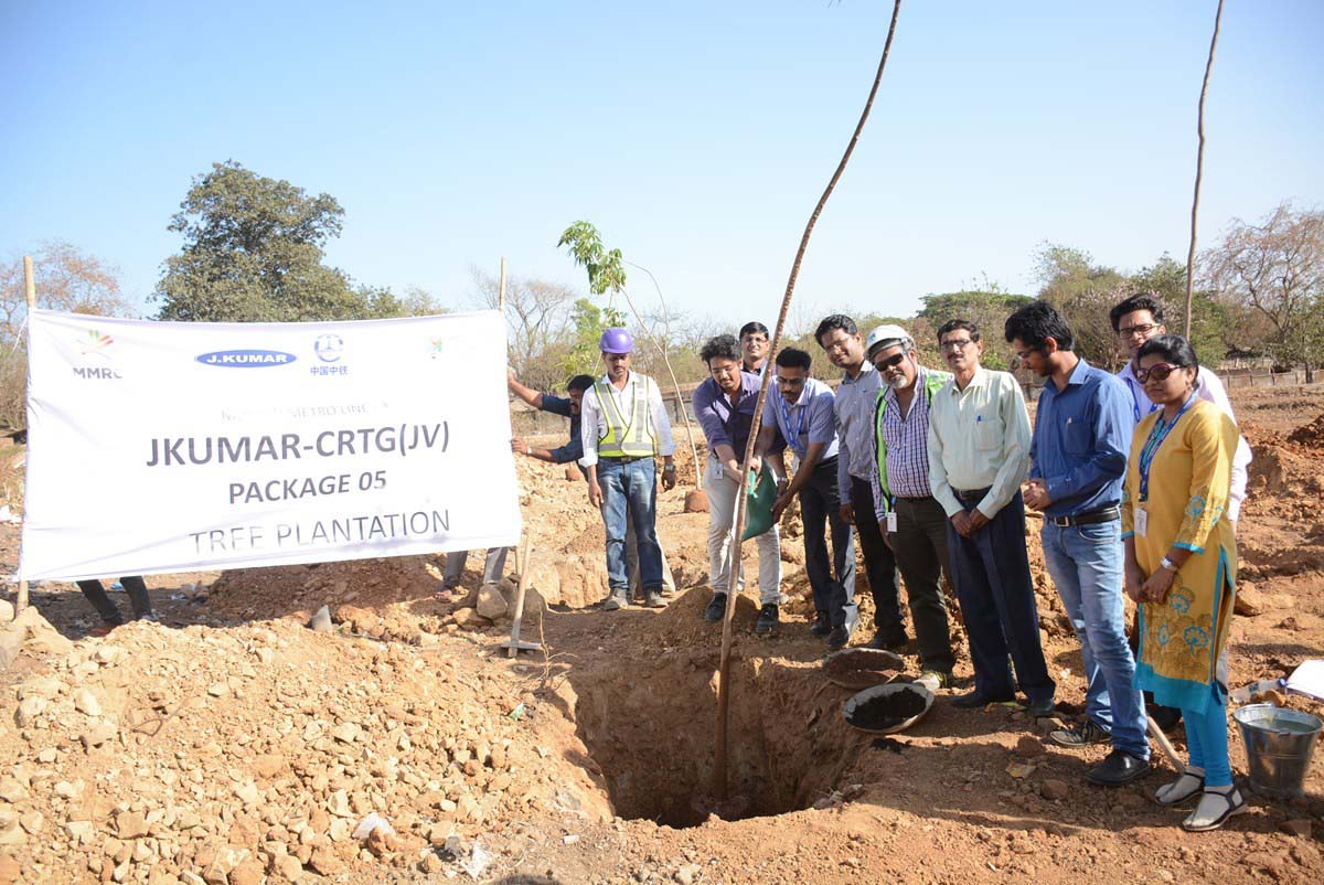 Tree Plantation Drive 12