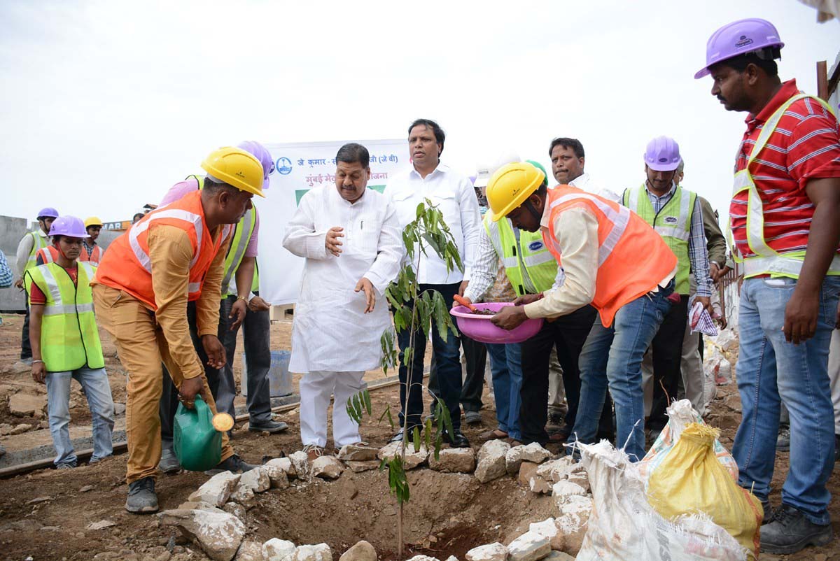Tree Plantation Drive 2