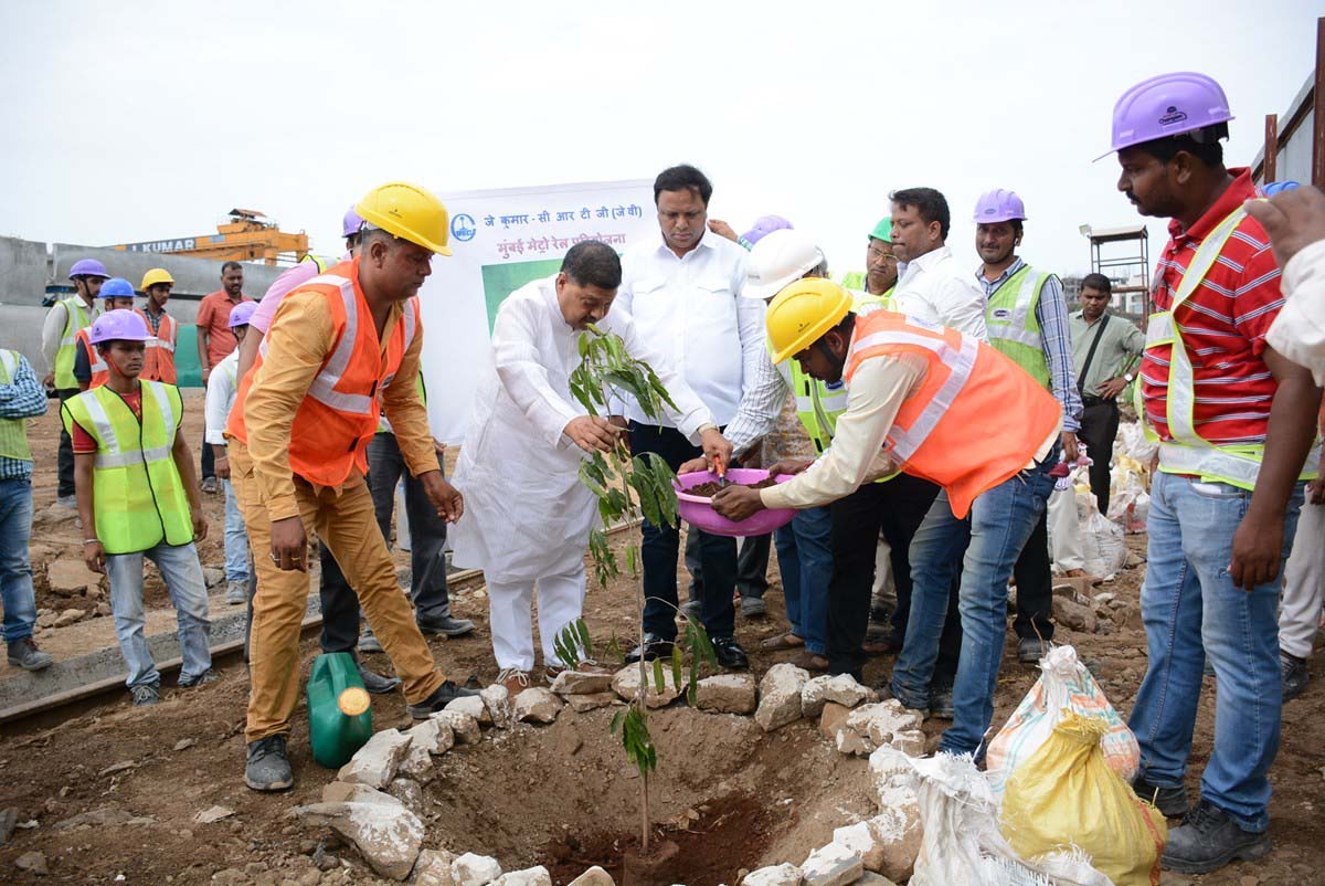 Tree Plantation Drive 3