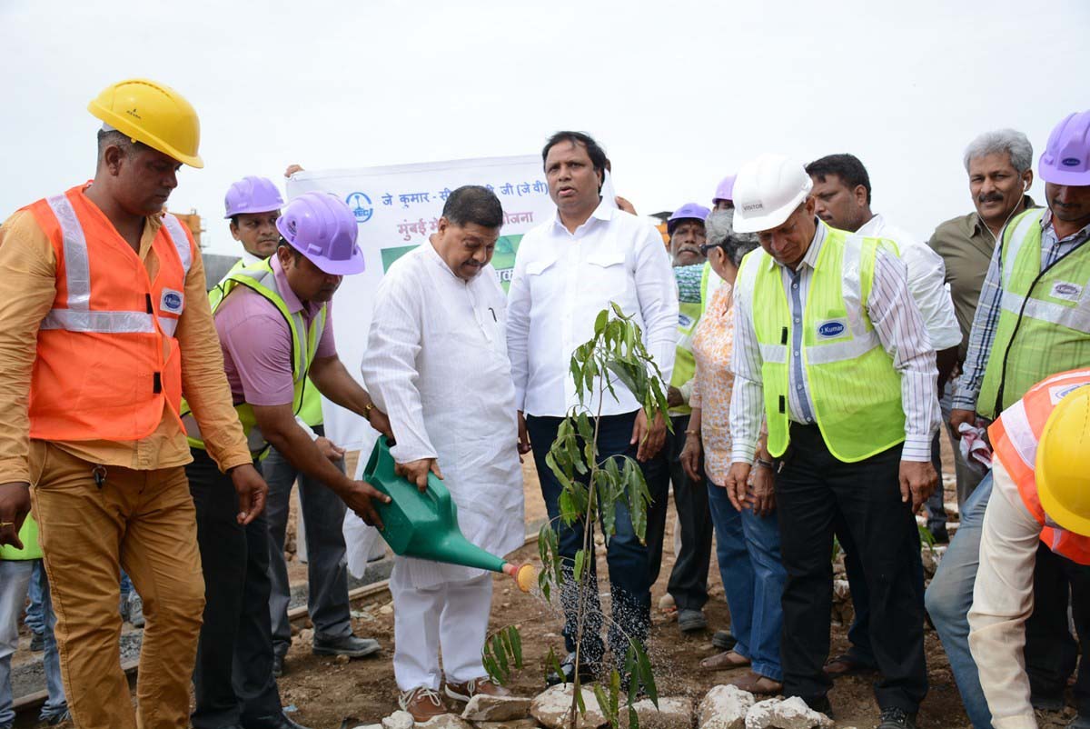 Tree Plantation Drive 4