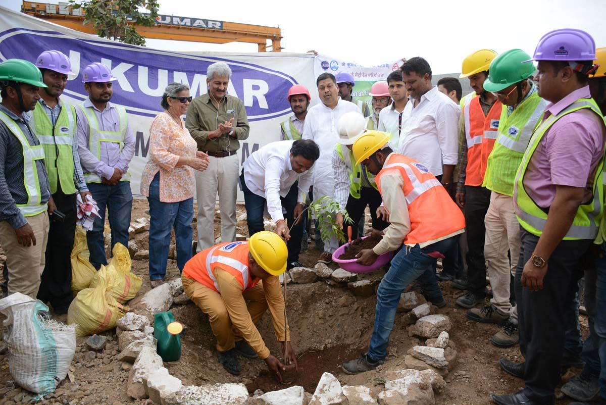 Tree Plantation Drive 6