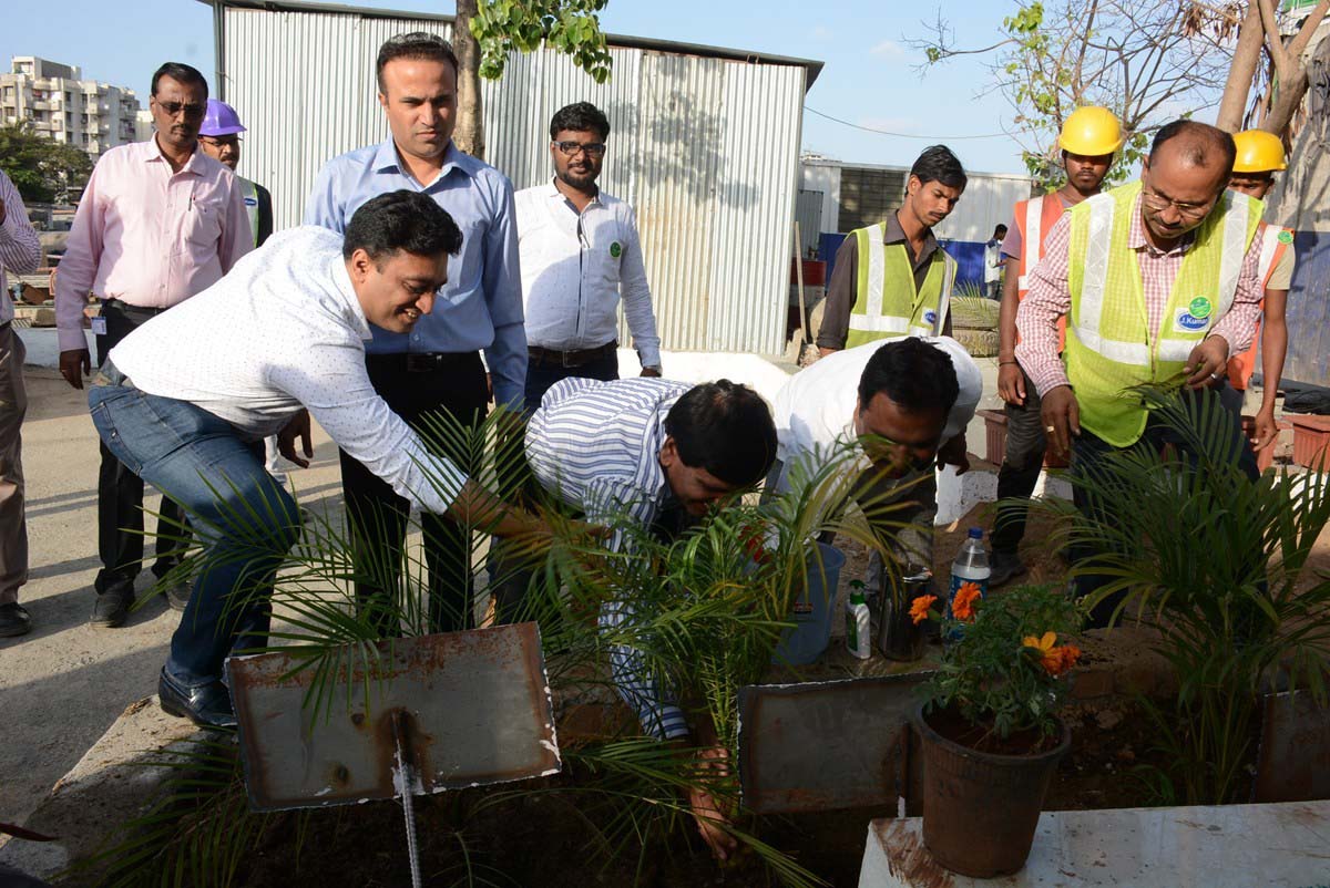 Tree Plantation Drive 7