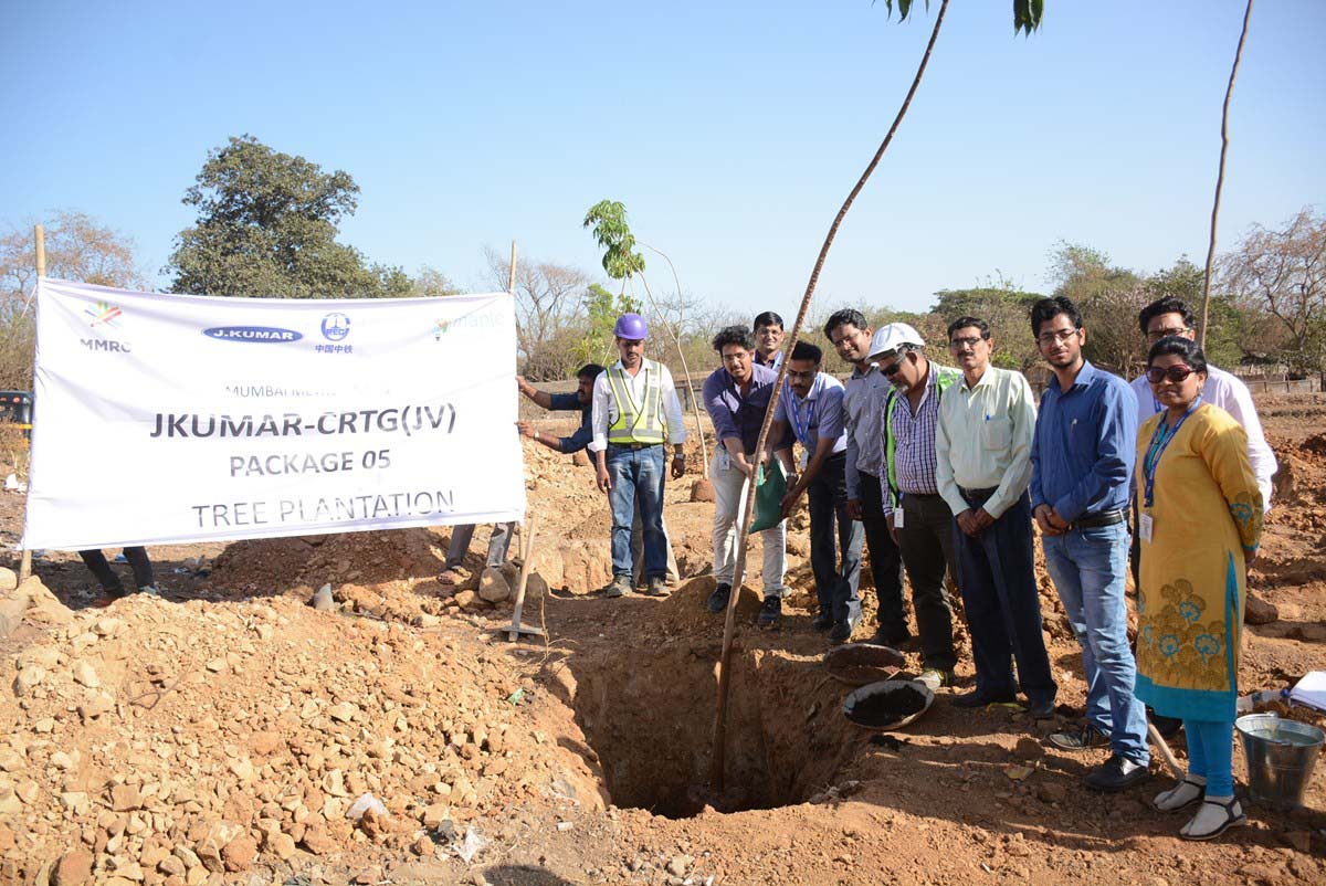 Tree Plantation Drive 8